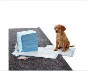 Amazon Basics Dog Training Pads shown in a large size for puppy training on a clean, textured surface.