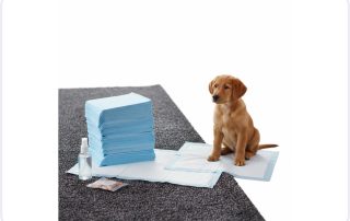 Amazon Basics Dog Training Pads shown in a large size for puppy training on a clean, textured surface.